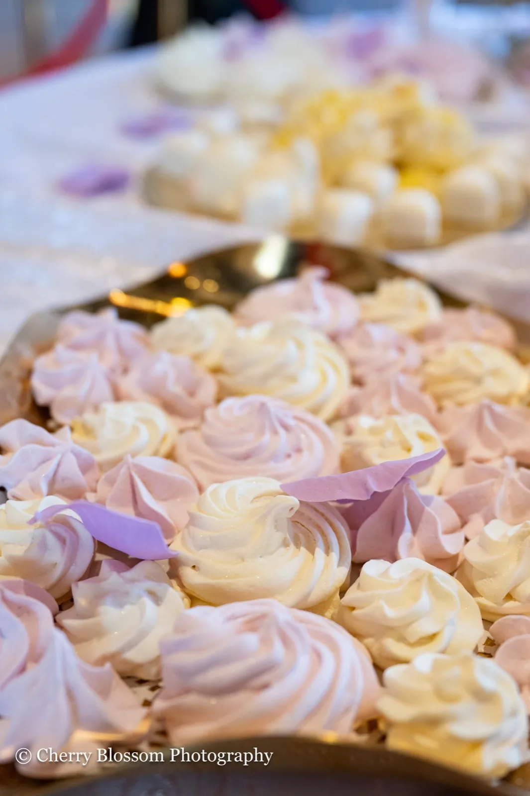 Preferred vendor showcase 6 at The Venue Clermont wedding and event expo in Clermont, Florida